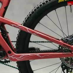 Dyedbro Kit Di Protezione Del Telaio - Fulmine - Rosa Opaco -Vendite Bici da città elettriche 26E8F9DC B647 401E ACE3 184267DA0802 1024x1024 2x