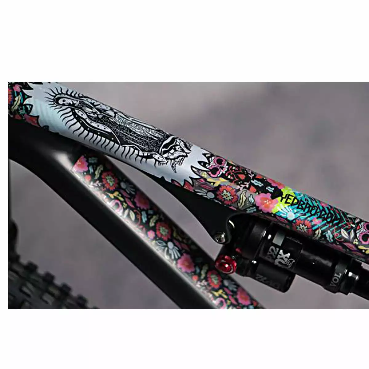 Dyedbro Kit Di Protezione Del Telaio - Guadalupe 4 Dyedbro Kit Di Protezione Del Telaio - Guadalupe - immagine 2